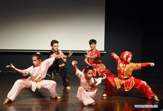 Kung Fu show enchants audience at Istanbul university