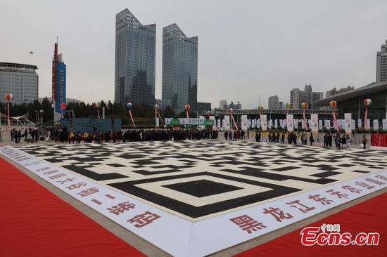 World’s largest QR code, made using ten tons of rice, in Harbin