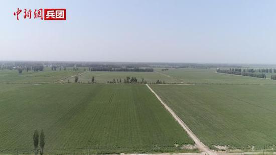 第一师十四团初夏印象 空中鸟瞰大漠绿色兵团