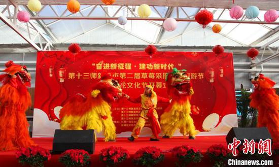 新疆新星市草莓采摘文旅节暨梅花文化节开幕 促休闲游升温