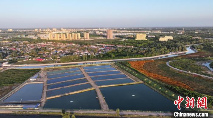 无人机拍摄澳洲淡水龙虾养殖基地。吾斯曼·麦麦提 摄 无人机拍摄澳洲淡水龙虾养殖基地。吾斯曼·麦麦提 摄