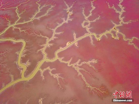 Red beach in Liaoning embraces most beautiful view season