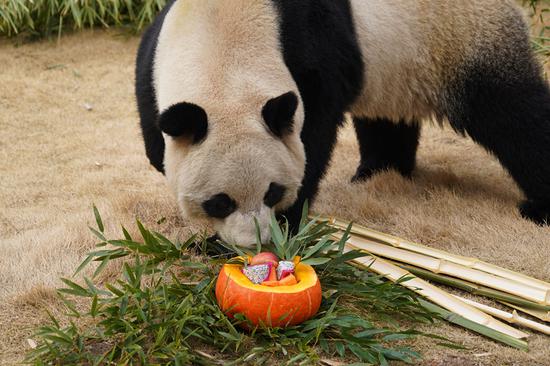 Animals enjoy special meal during Laba Festival in Hangzhou