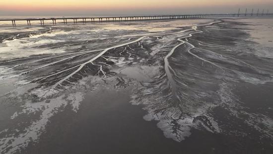 'Tidal trees' frozen on Qiantang River