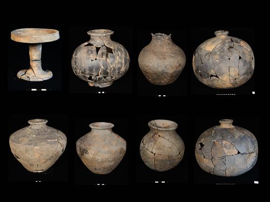 Four-wheeled carriage unearthed outside Emperor Qinshihuang's Mausoleum