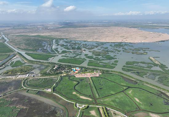 Desert wetland showcases environmental protection in Ningxia