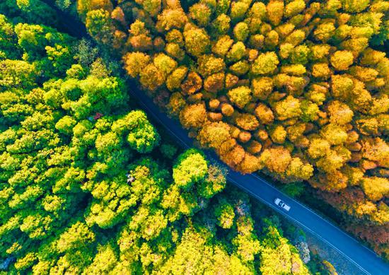 Stunning autumn scenery in Shanwangping Karst National Eco Park