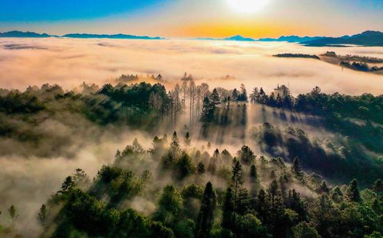 Stunning scenery of sun shining through clouds over forest