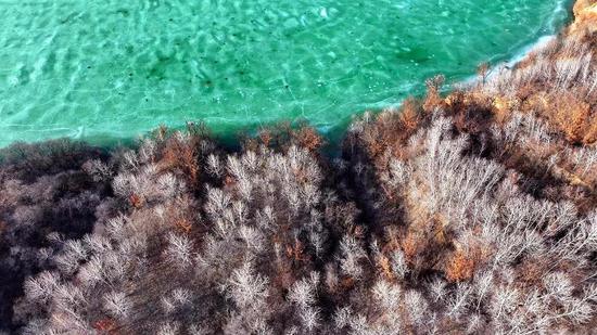 Jade-like water spotted on Loess plateau in NW China's Shaanxi